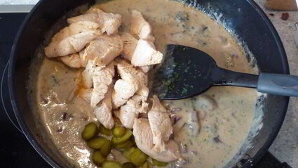 рагу из индейки по-строгановски