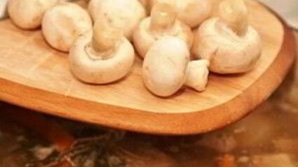 рагу из телятины