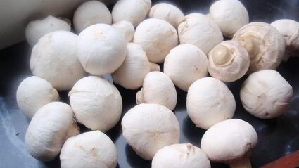 утиное филе в кунжуте с грибным рагу и картофельными дольками