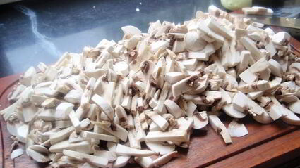 утиное филе в кунжуте с грибным рагу и картофельными дольками