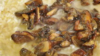 ризотто с лесными грибами