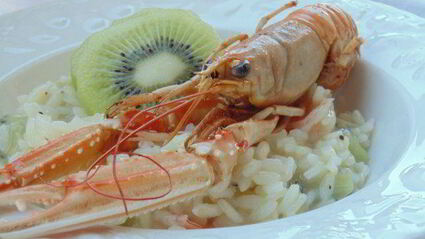 ризотто элегантная весна