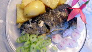 Форель из духовочки