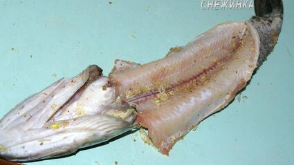 щука фаршированная, запеченная в фольге