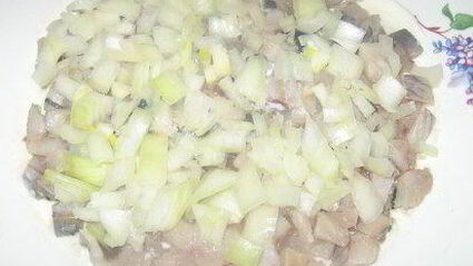 селедка под солнцем