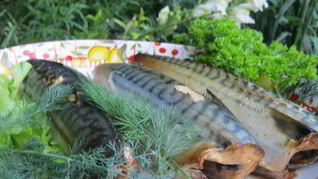 Скумбрия домашнего копчения