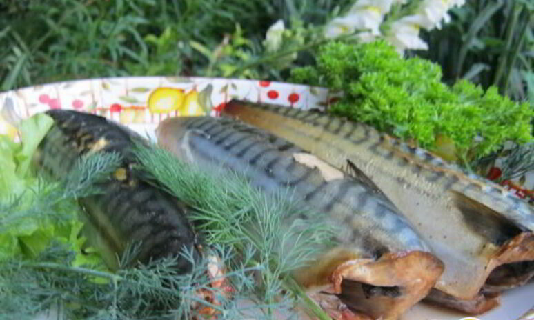 Рецепт скумбрия домашнего копчения