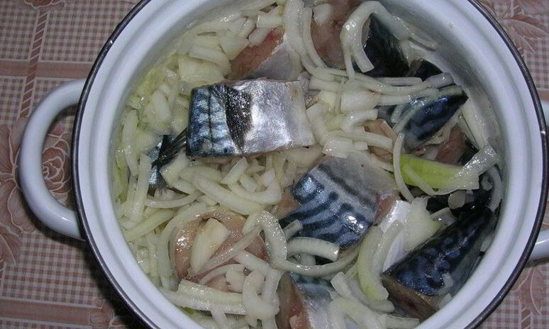 Рецепт скумбрия в молоке