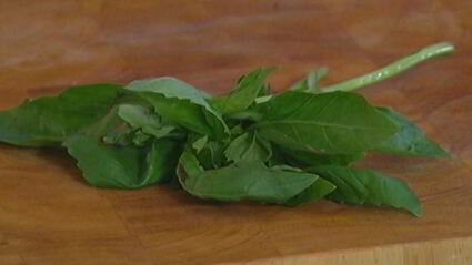 шашлычки из семги