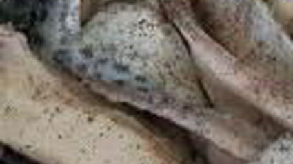 шашлык из рыбы с яблочным соусом