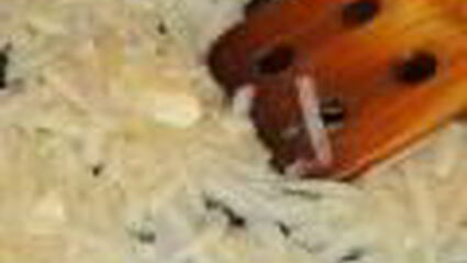 шашлык из рыбы с яблочным соусом