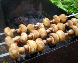 Шашлык из шампиньонов