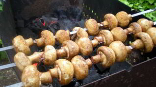 Шашлык из шампиньонов