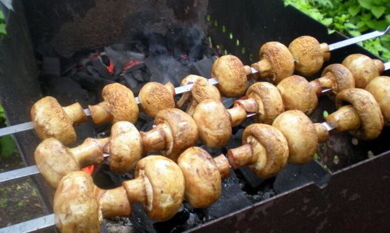 Рецепт шашлык из шампиньонов