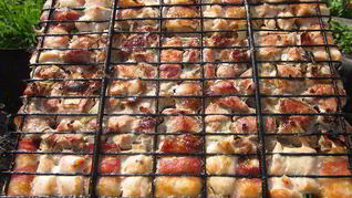 Шашлык из свинины и куриных грудок