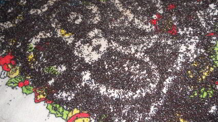 вкуснейшие вареники с маком