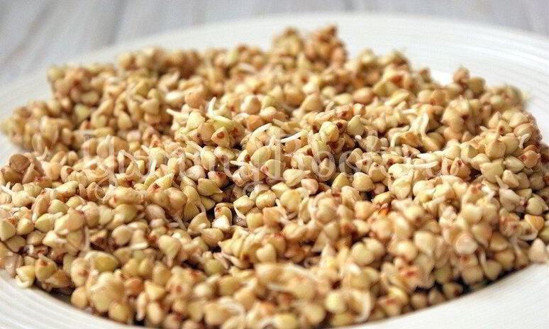 Рецепт пророщенная гречка