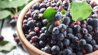 Домашнее вино из ирги