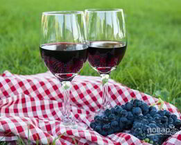 Домашнее вино из винограда