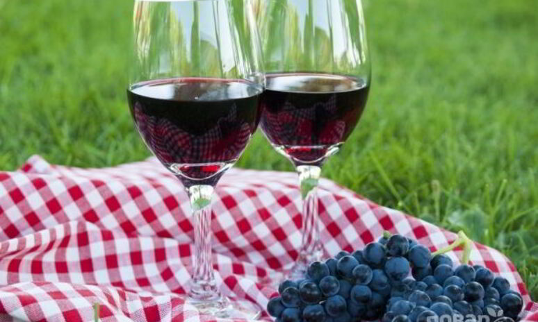 Рецепт домашнее вино из винограда