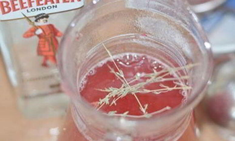 Рецепт горячий клюквенный напиток с джином