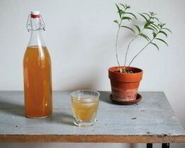 Имбирный эль с вербеной