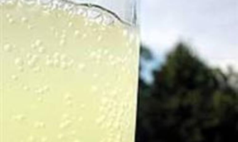 Рецепт имбирный эль