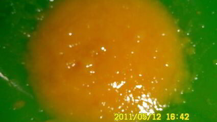 персиковый коктейль солнечный зайчик