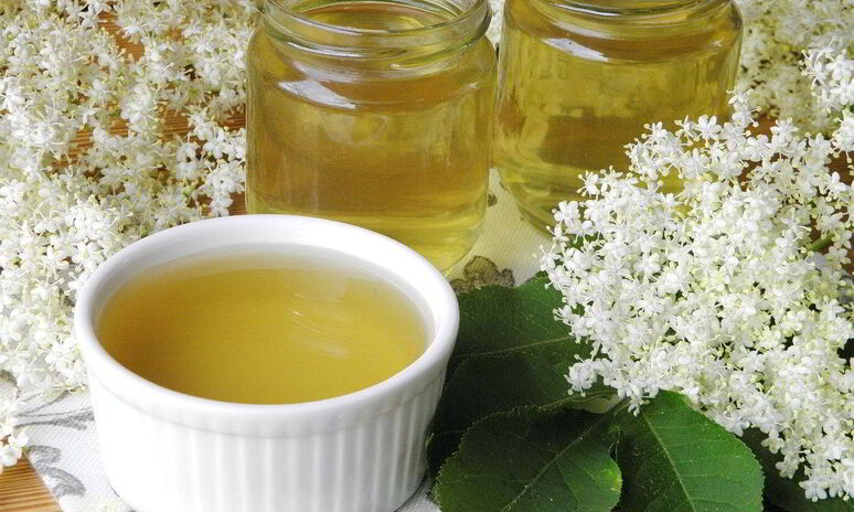 Рецепт сироп из бузины