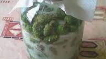 сироп из сосновых шишек