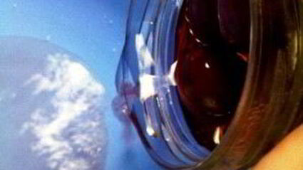 сливы в сиропе на зиму