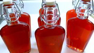 Вино из красной смородины без дрожжей