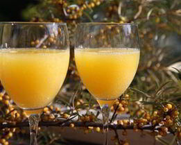 Вино из облепихи