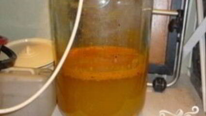 вино из облепихи