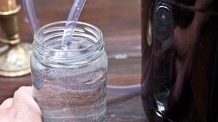 вино из рябины