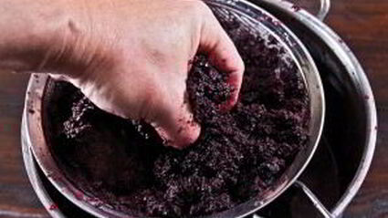 вино из рябины