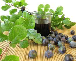 Вино из терновника