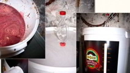 вино из терновника