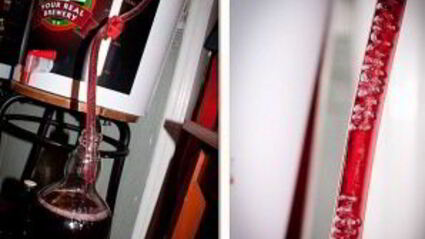 вино из терновника