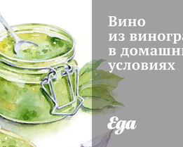 Вино из винограда