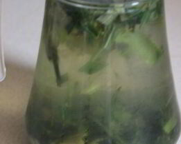 витаминный напиток из листьев облепихи с медом и мятой