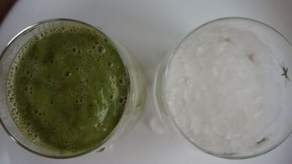 зеленый коктейль антиоксидант