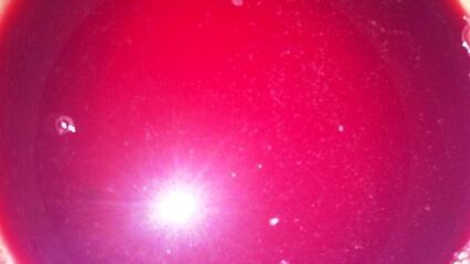 гранатовый соус наршараб