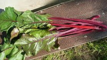 борщ свекольный