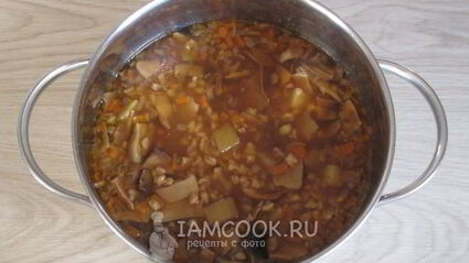 грибной суп из сушеных грибов с перловкой
