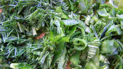 холодник из свеклы