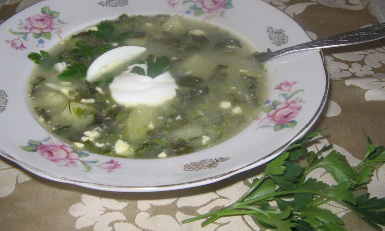 Рецепт щи из щавеля