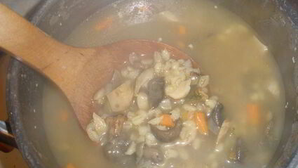 густая солянка с лесными грибами