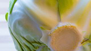 Солянка из капусты