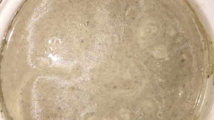 душевный грибной суп-пюре